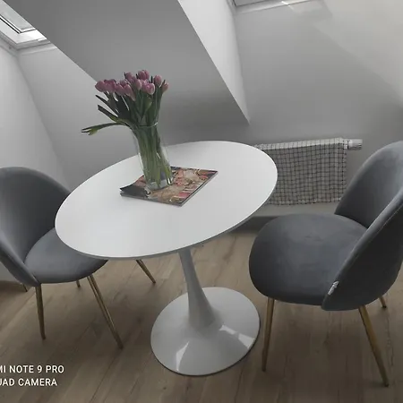 Mestsky Apartman Apartment *